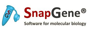 SnapGene 5.3.2 Crack + Full Registration Code 2022 (LATEST)